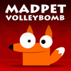 MadpPet Volleybomb