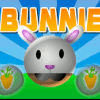 Bunnie