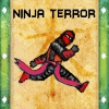 Ninja Terror