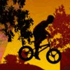 Twilight BMX